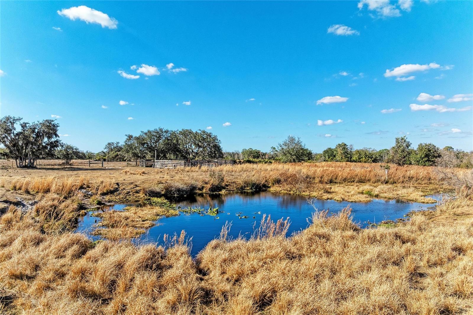 33100 & 33070 TAYLOR GRADE RD