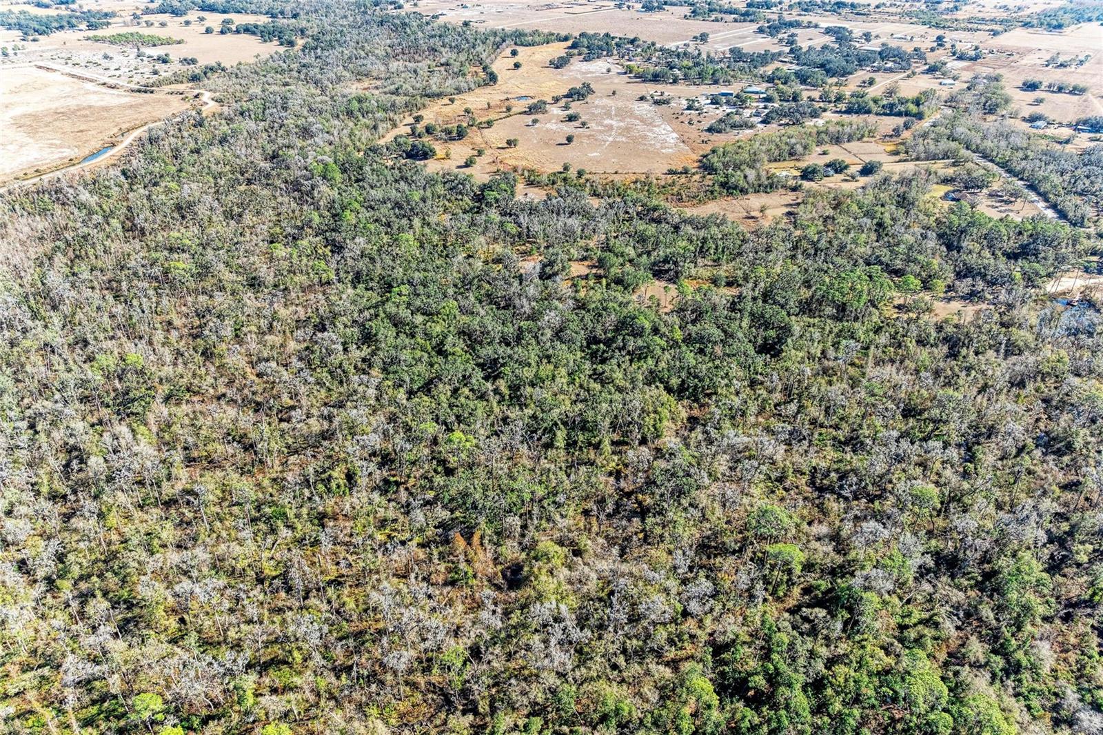 33100 & 33070 TAYLOR GRADE RD