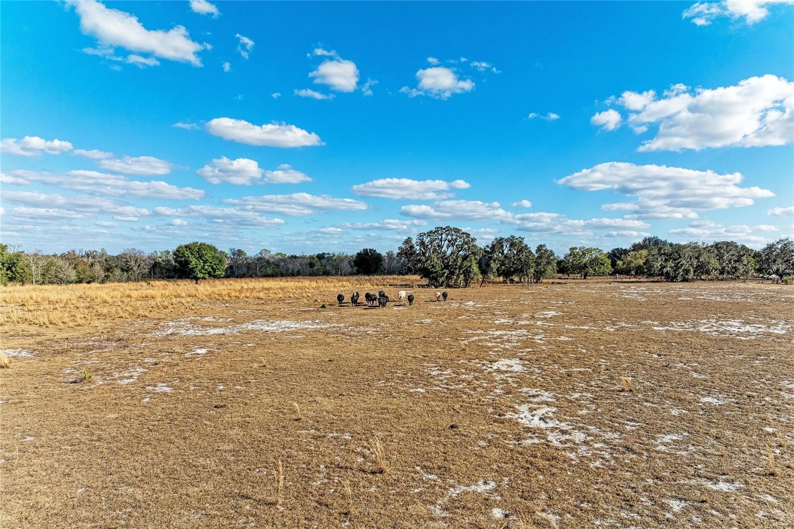 33100 & 33070 TAYLOR GRADE RD