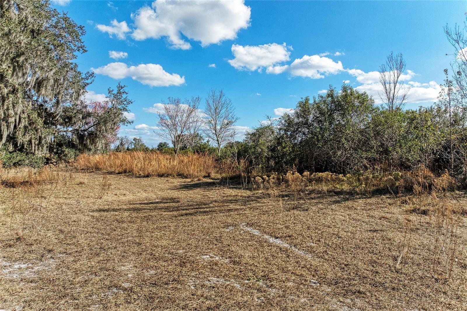 33100 & 33070 TAYLOR GRADE RD