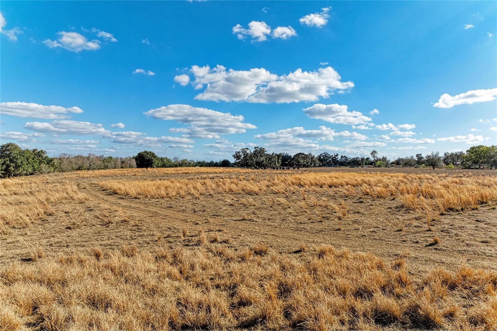 33100 & 33070 TAYLOR GRADE RD