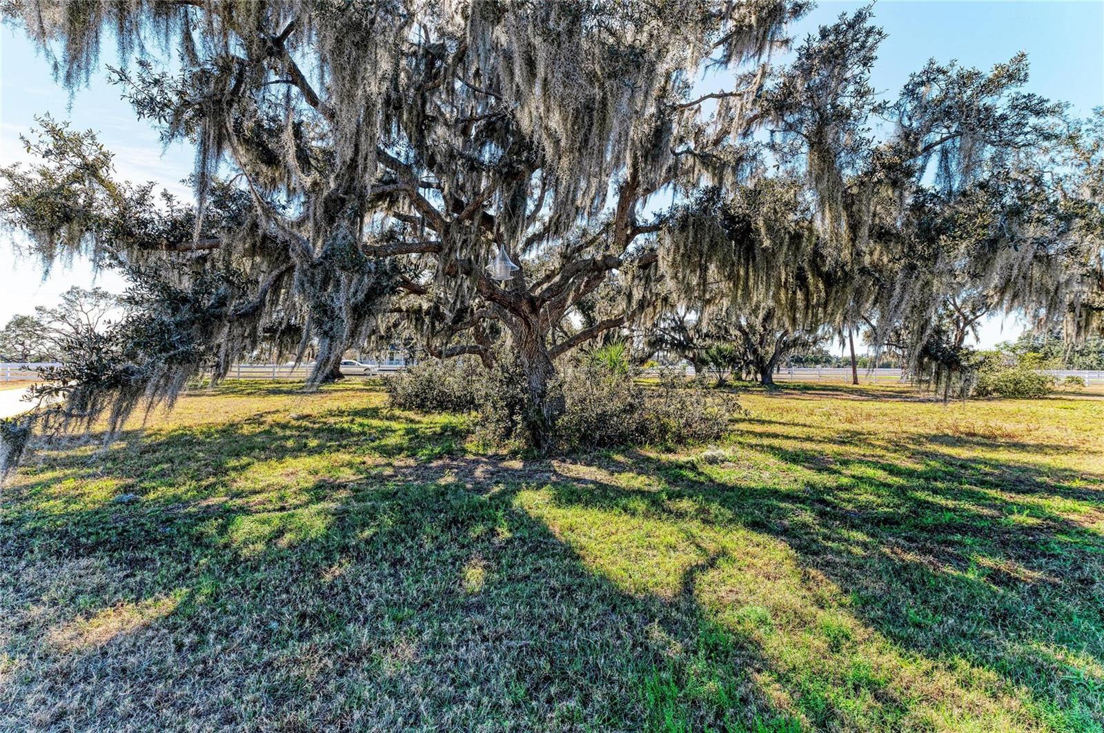 16315 HIDDEN HORSE WAY