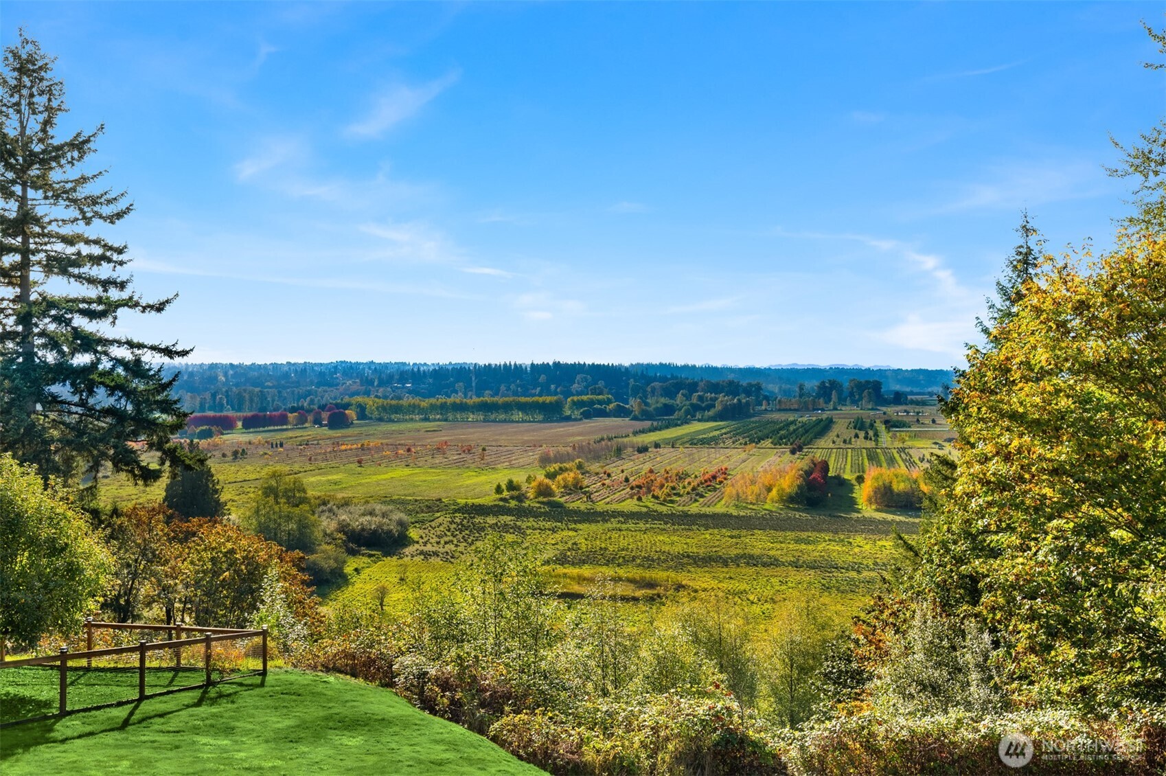 Panoramic view of orchard rows and fields, framed by autumn trees and a fenced lawn.