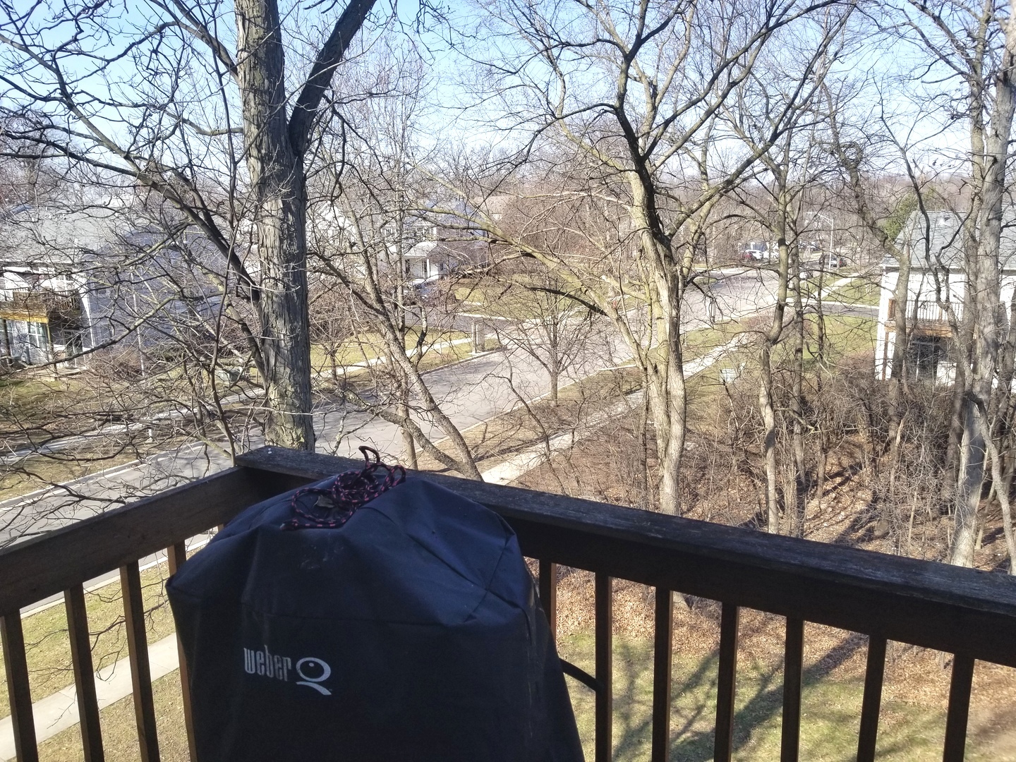 618 BUCKSKIN Lane Unit: 618