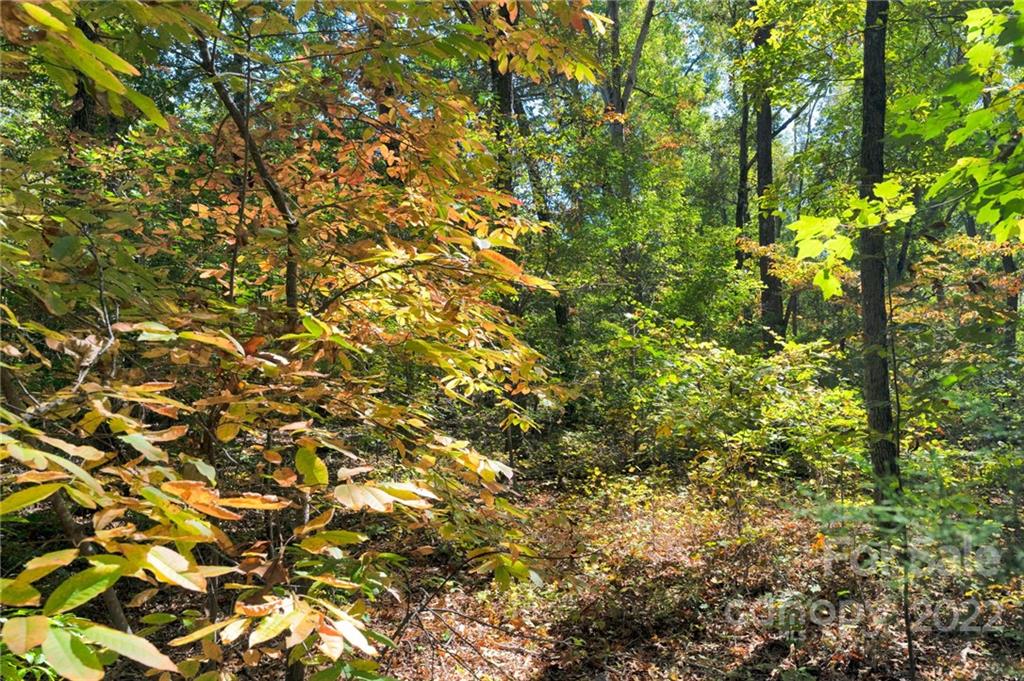 0 Walkaloosa Way Unit: 20