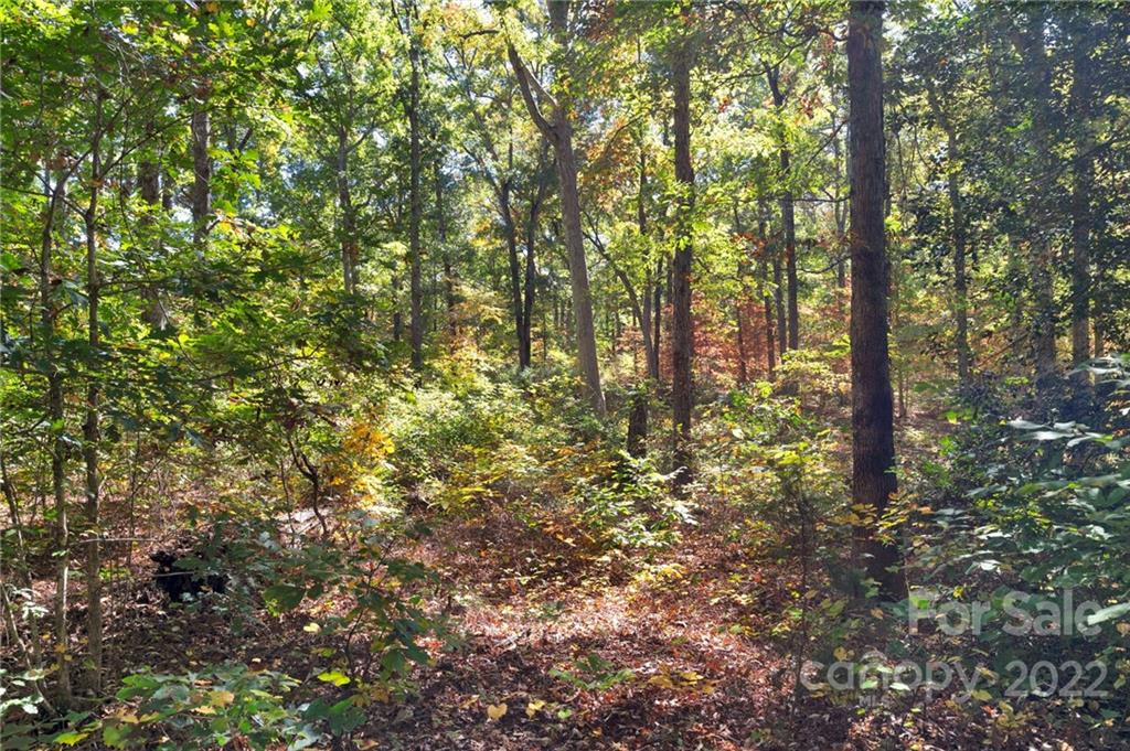 0 Walkaloosa Way Unit: 20