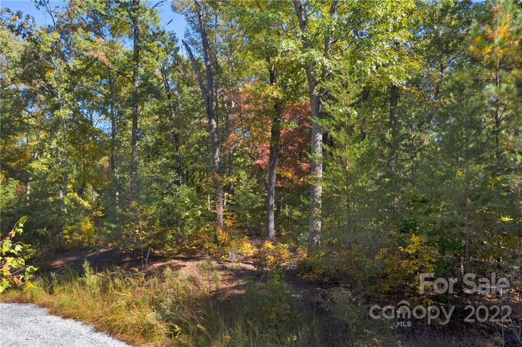 0 Walkaloosa Way Unit: 20