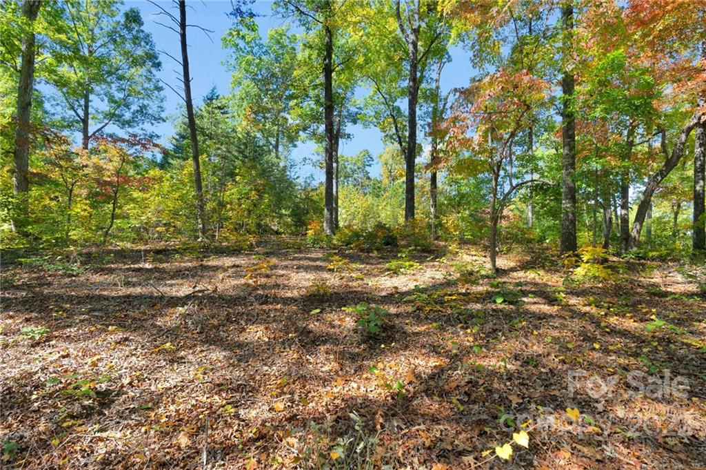 0 Walkaloosa Way Unit: 20