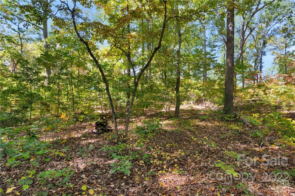 0 Walkaloosa Way Unit: 20