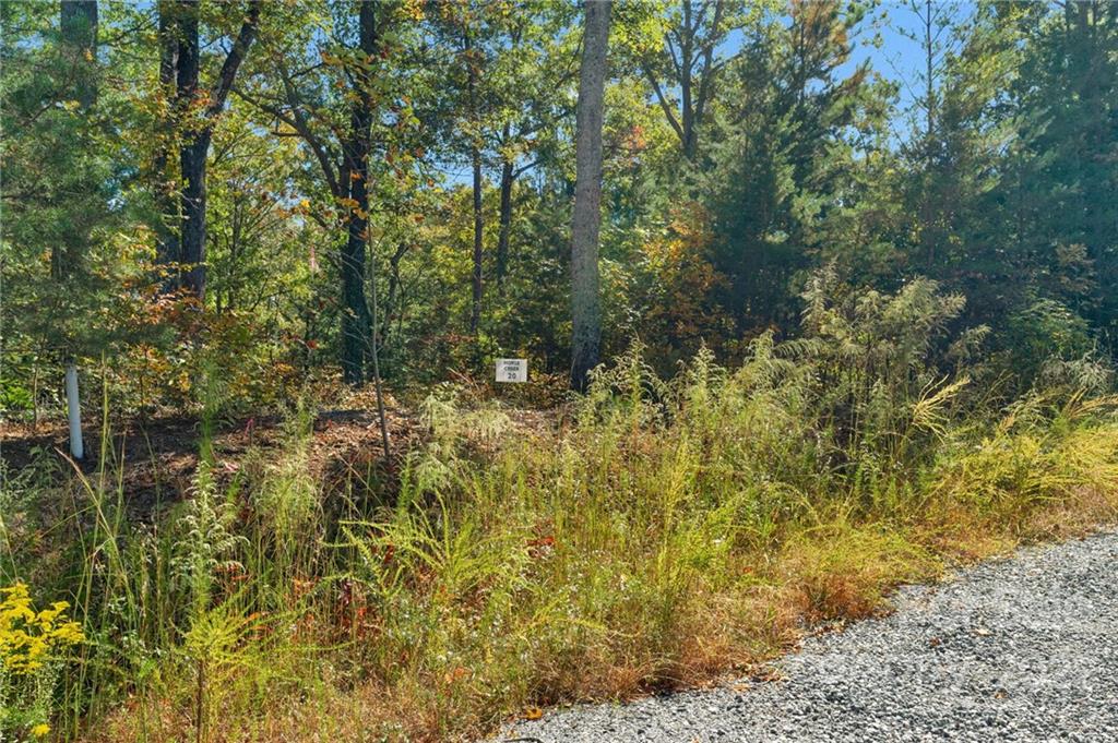 0 Walkaloosa Way Unit: 20