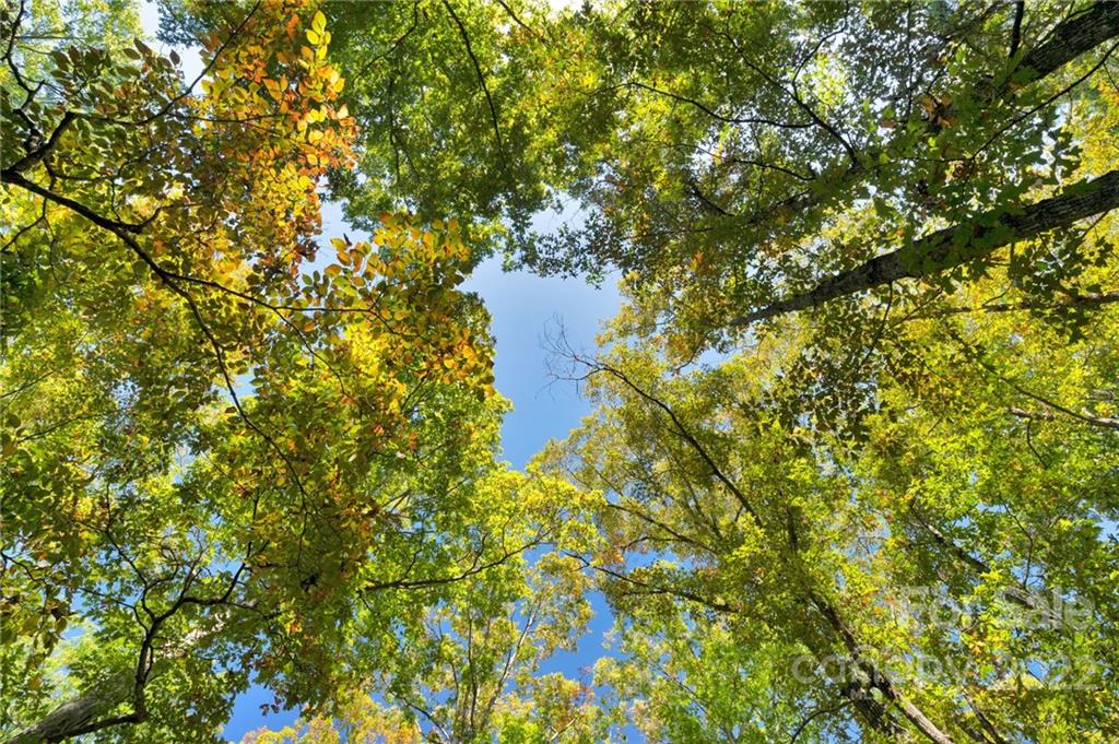 0 Walkaloosa Way Unit: 20