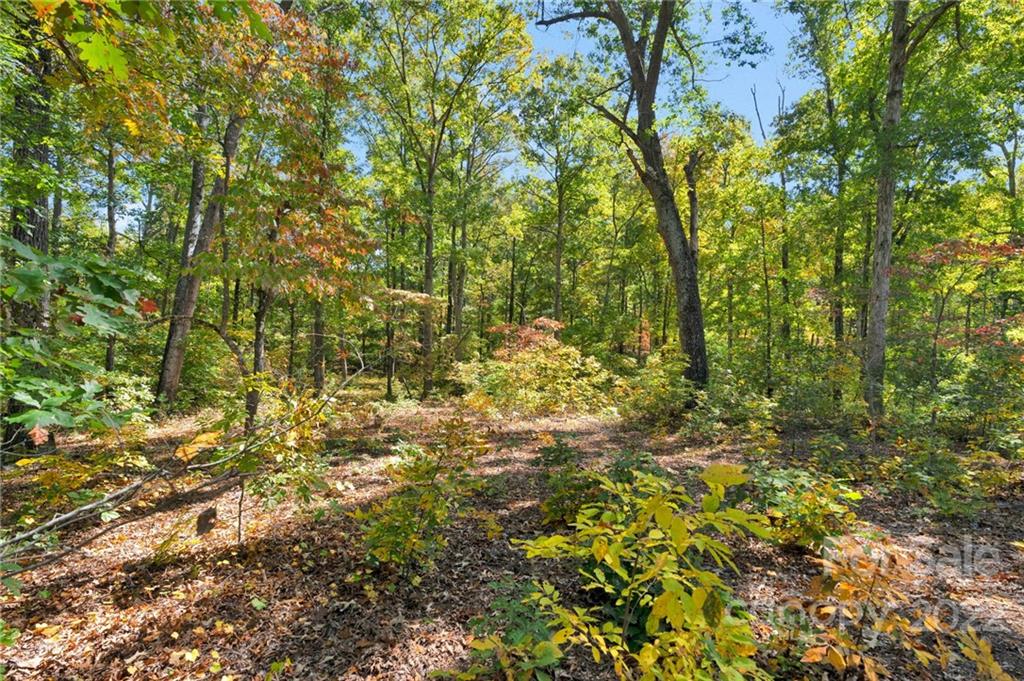 0 Walkaloosa Way Unit: 20