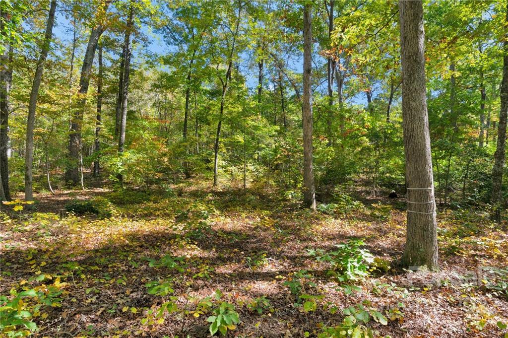 0 Walkaloosa Way Unit: 20