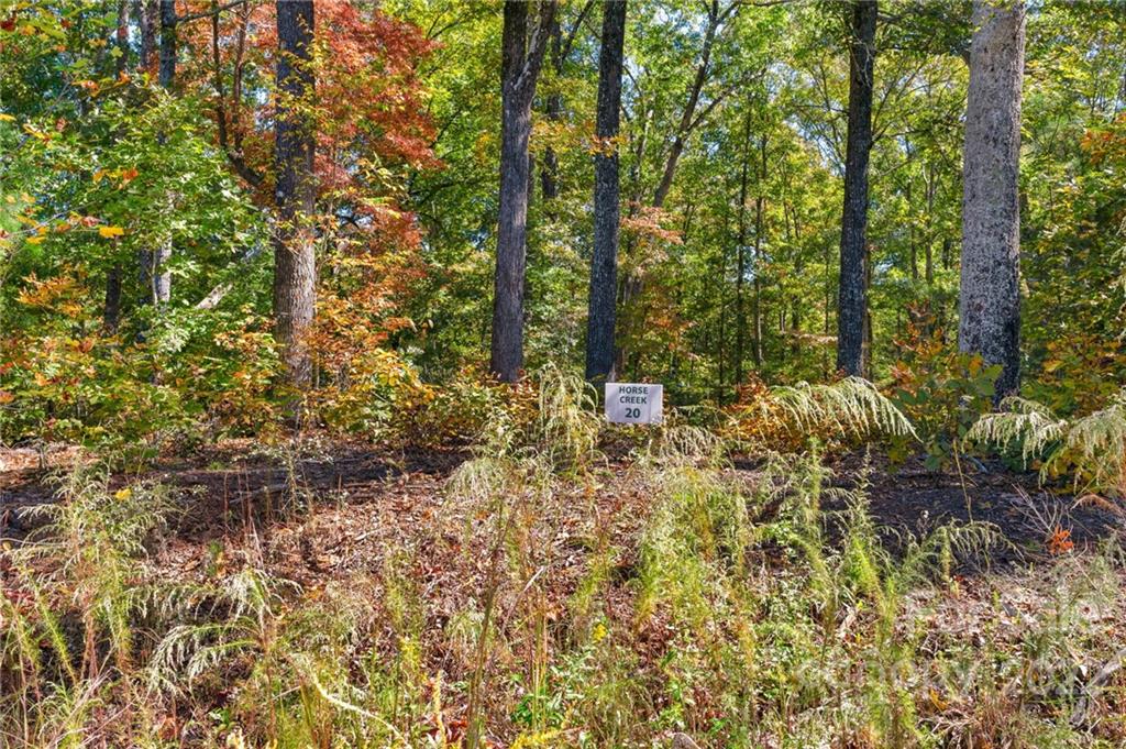 0 Walkaloosa Way Unit: 20