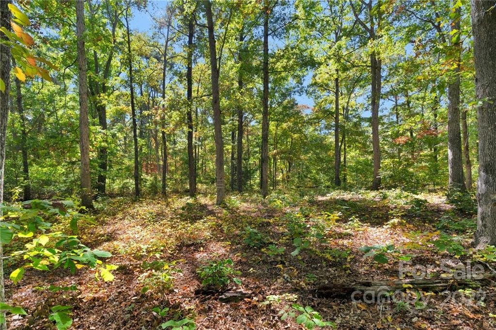 0 Walkaloosa Way Unit: 20