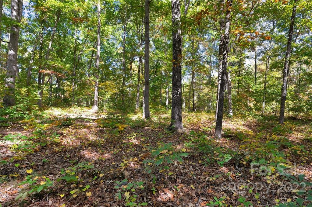 0 Walkaloosa Way Unit: 20