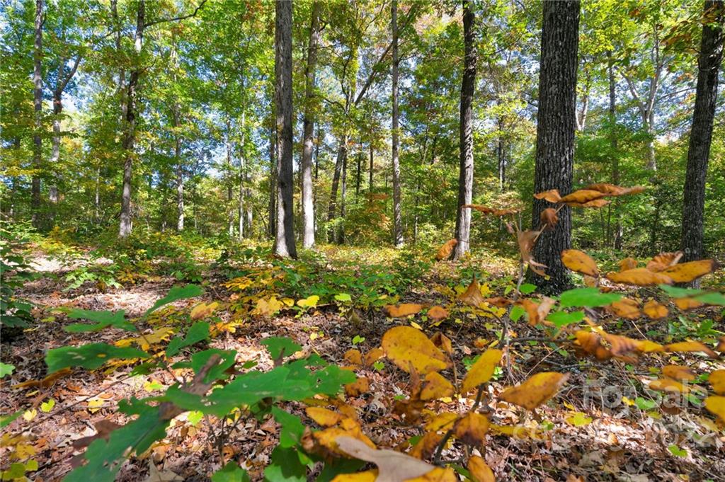 0 Walkaloosa Way Unit: 20