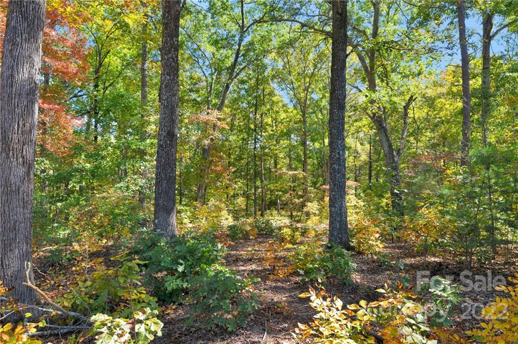 0 Walkaloosa Way Unit: 20