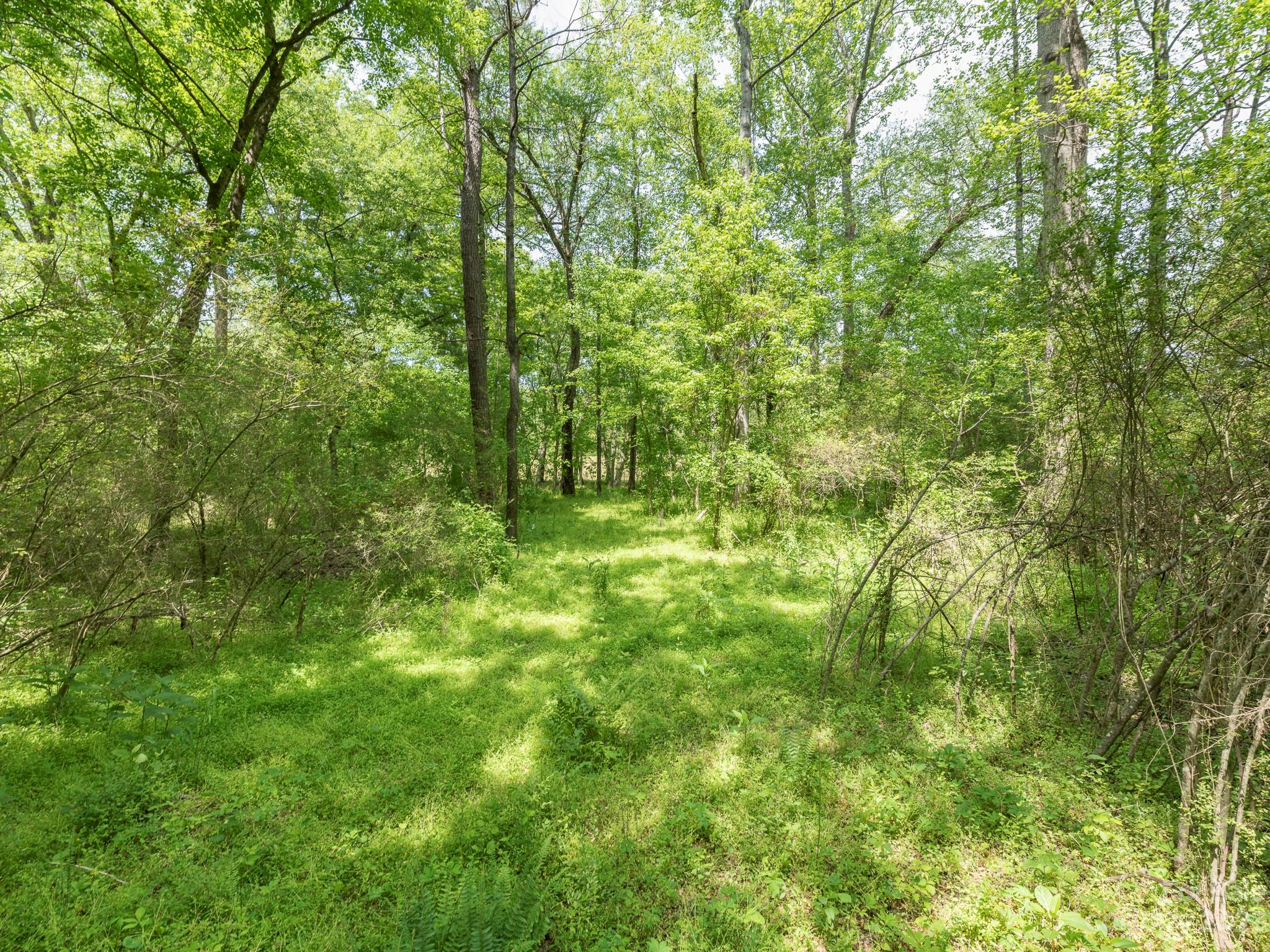 Lot 11 Walkaloosa Way