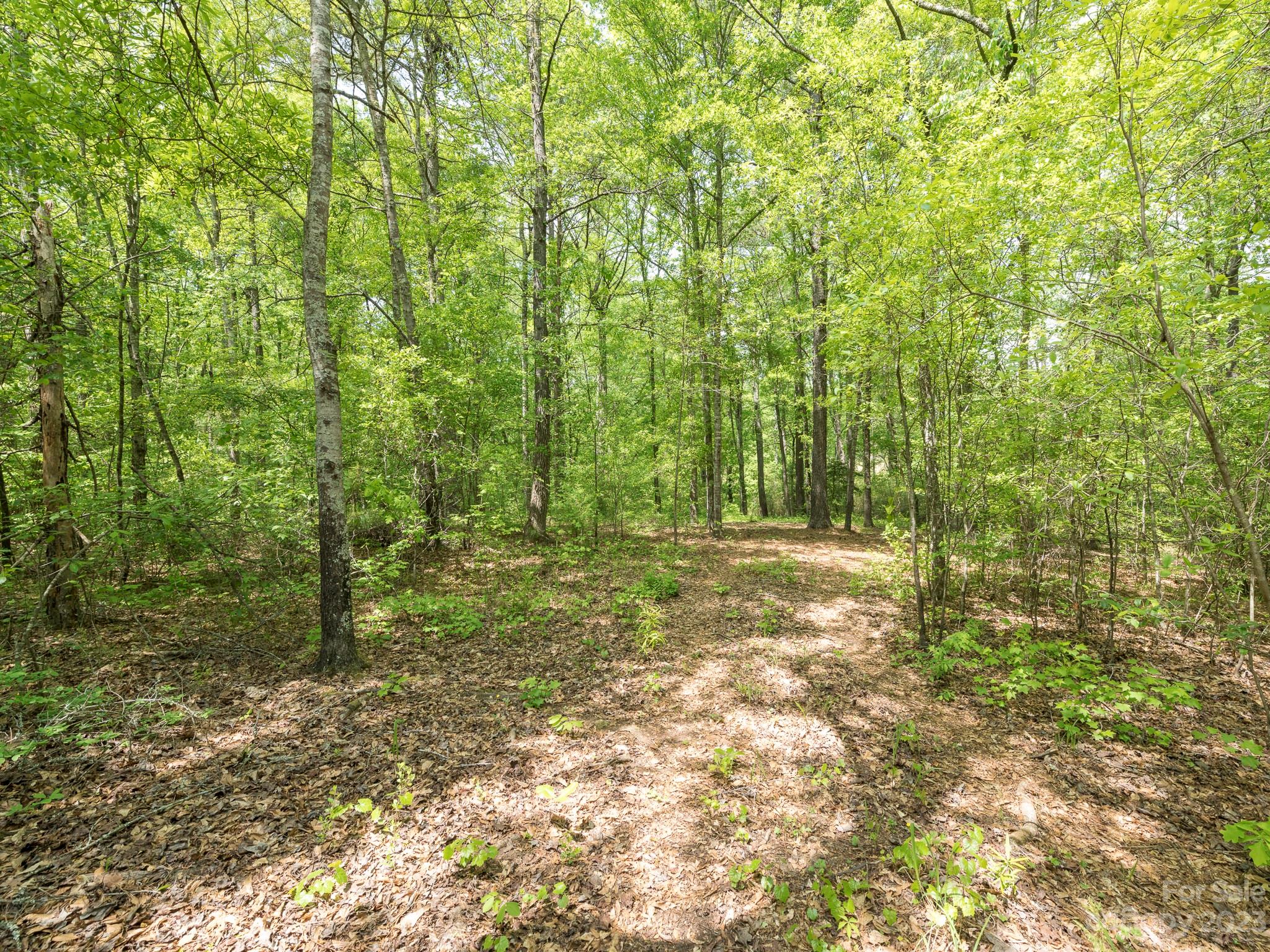 Lot 11 Walkaloosa Way