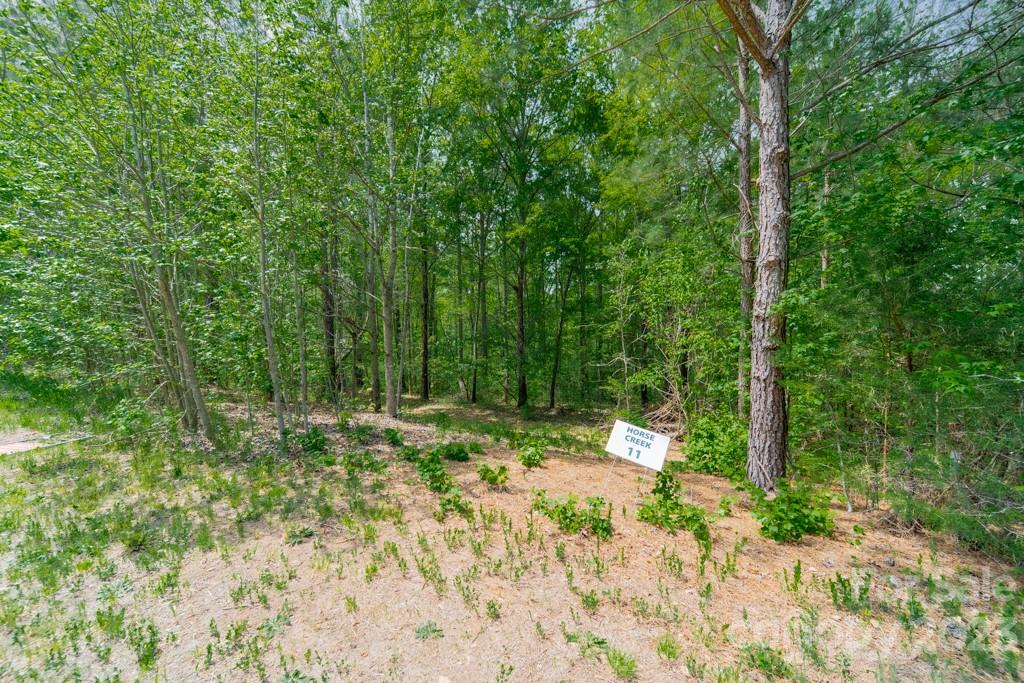 Lot 11 Walkaloosa Way