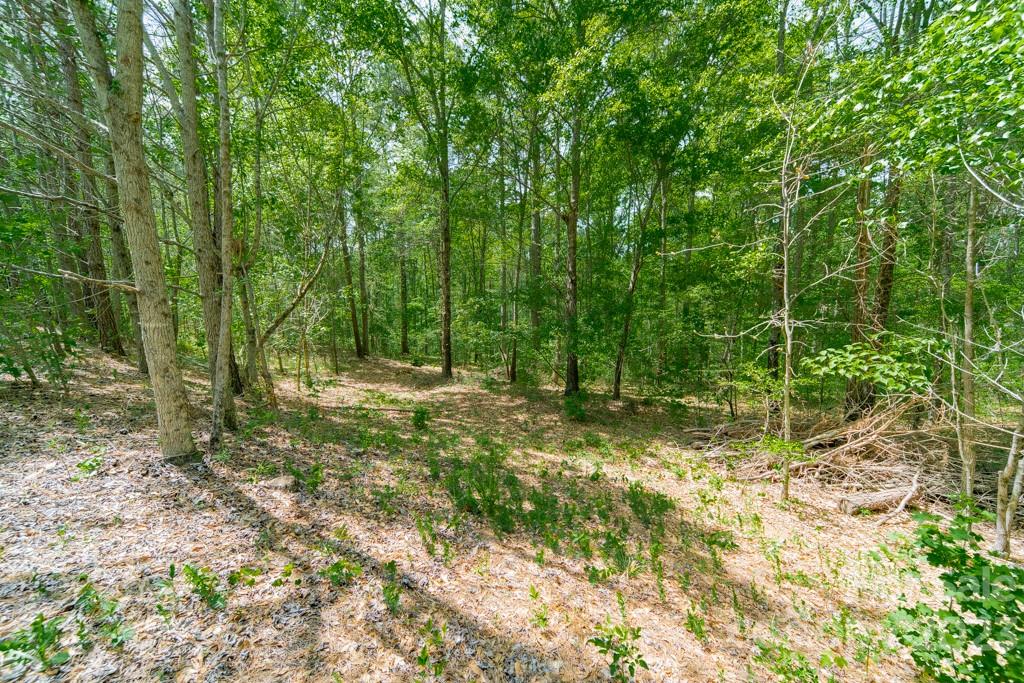 Lot 11 Walkaloosa Way