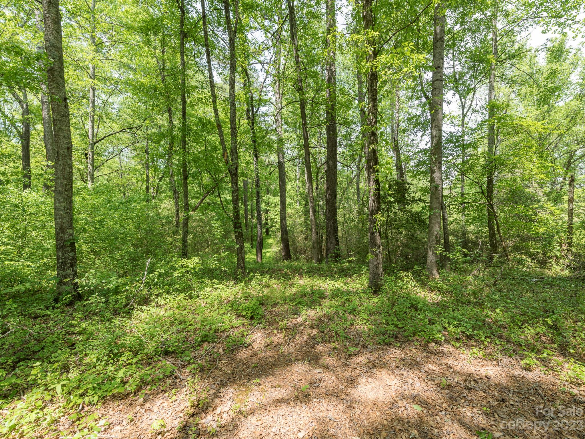 Lot 11 Walkaloosa Way