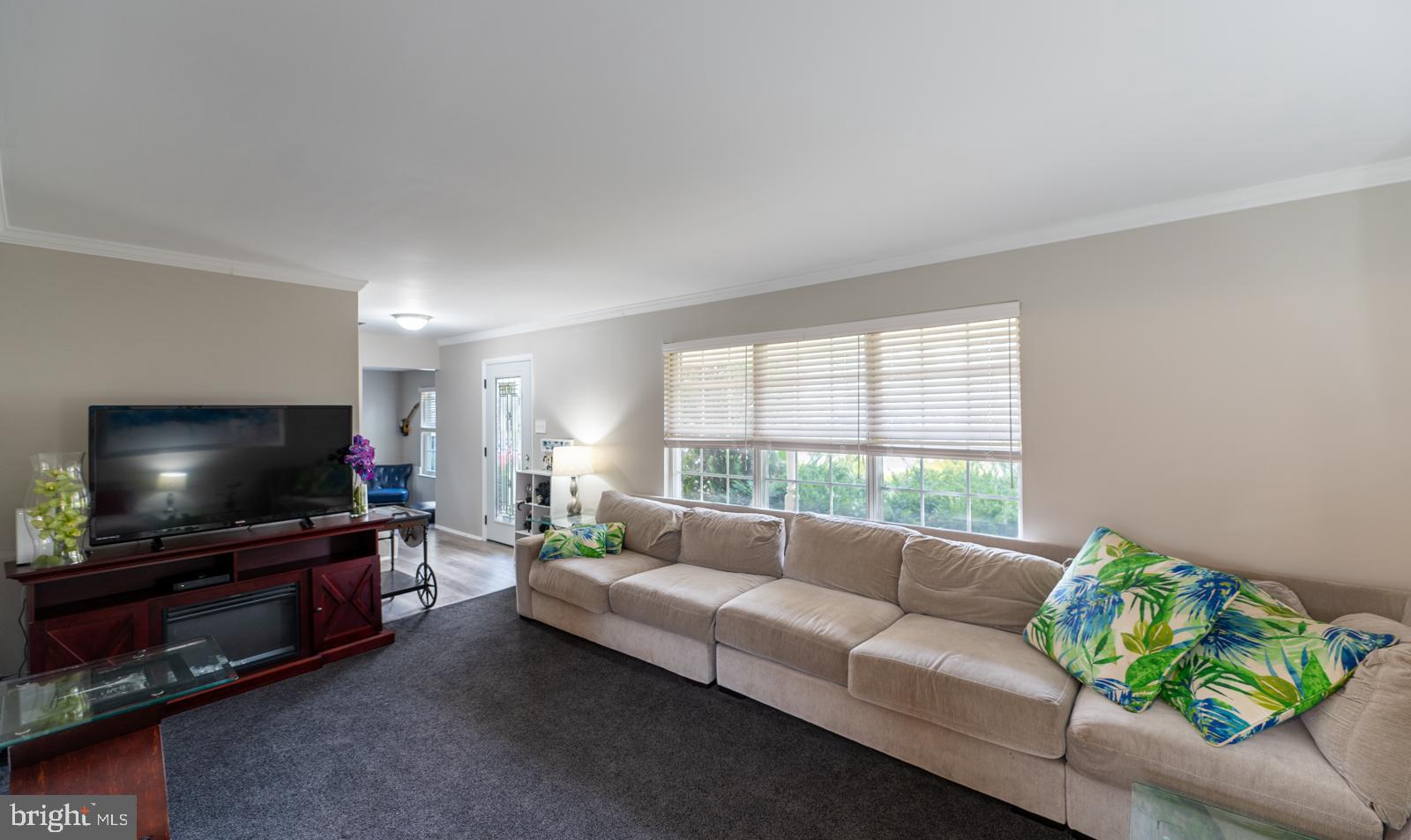 292 HOLLOW BRANCH LANE