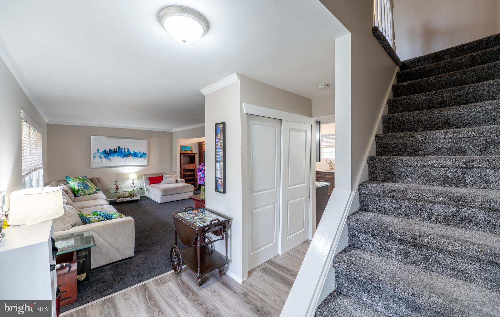 292 HOLLOW BRANCH LANE