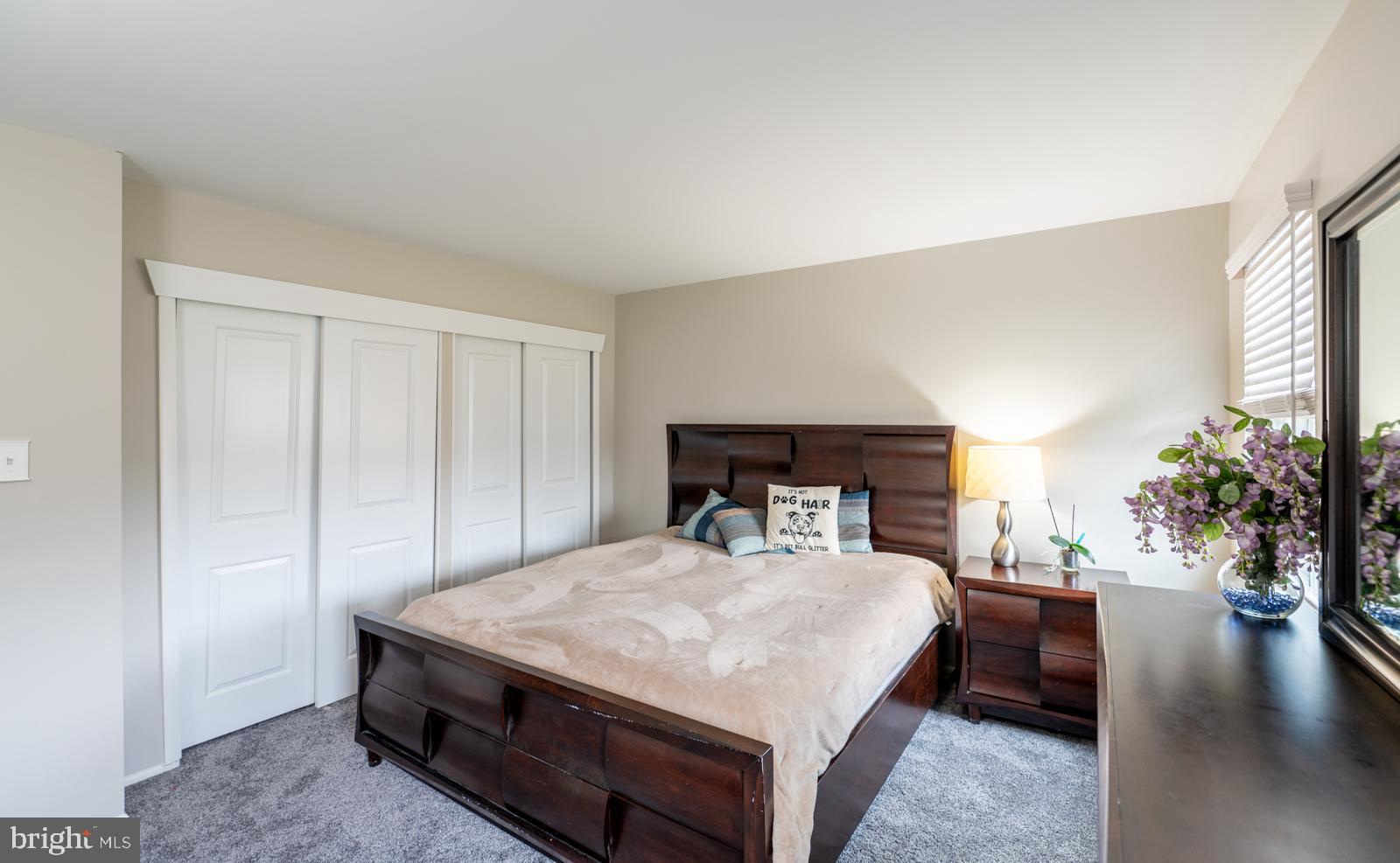 292 HOLLOW BRANCH LANE