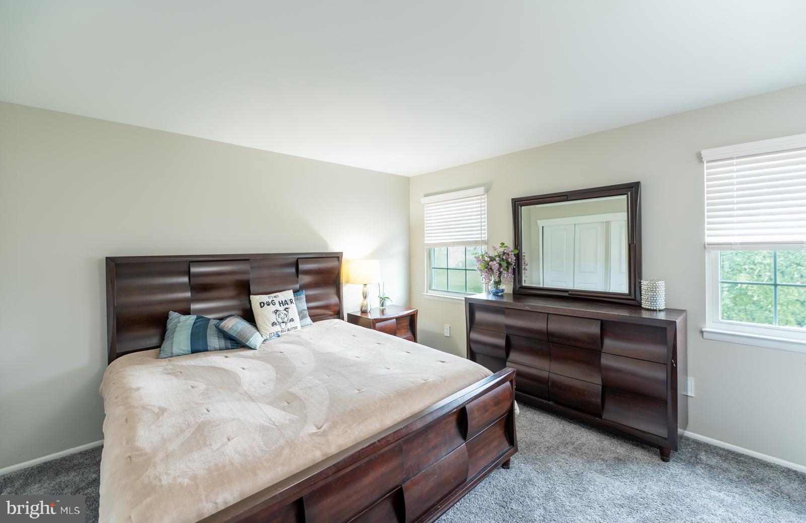 292 HOLLOW BRANCH LANE