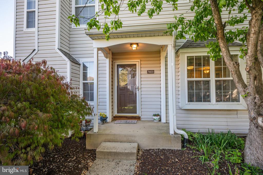 7403 SPRUCE MILL DRIVE