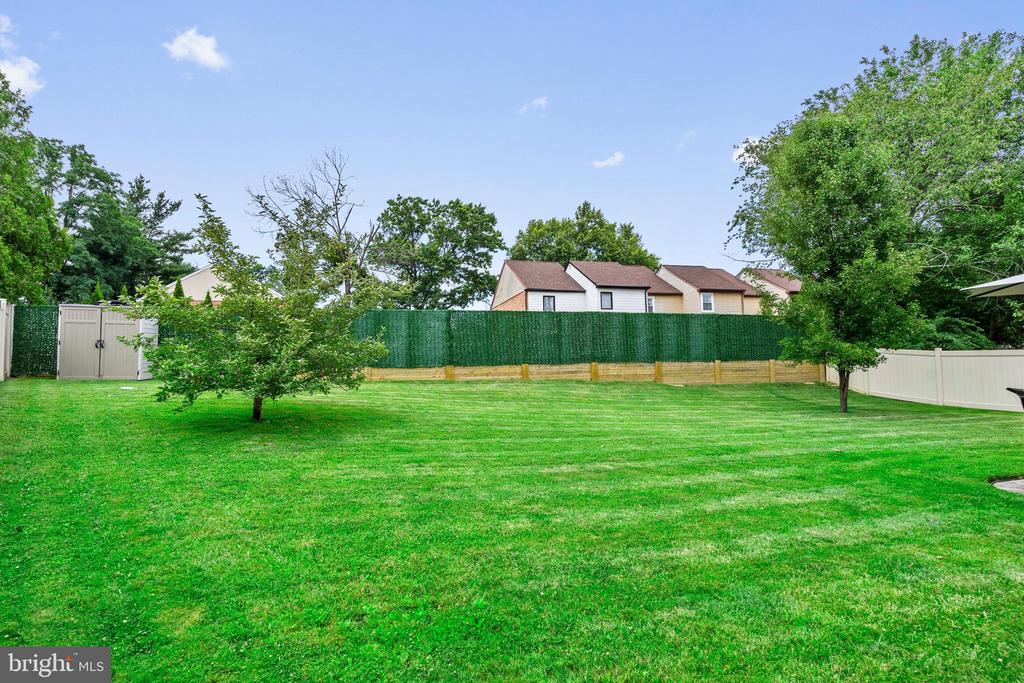 243 TAREYTON DRIVE