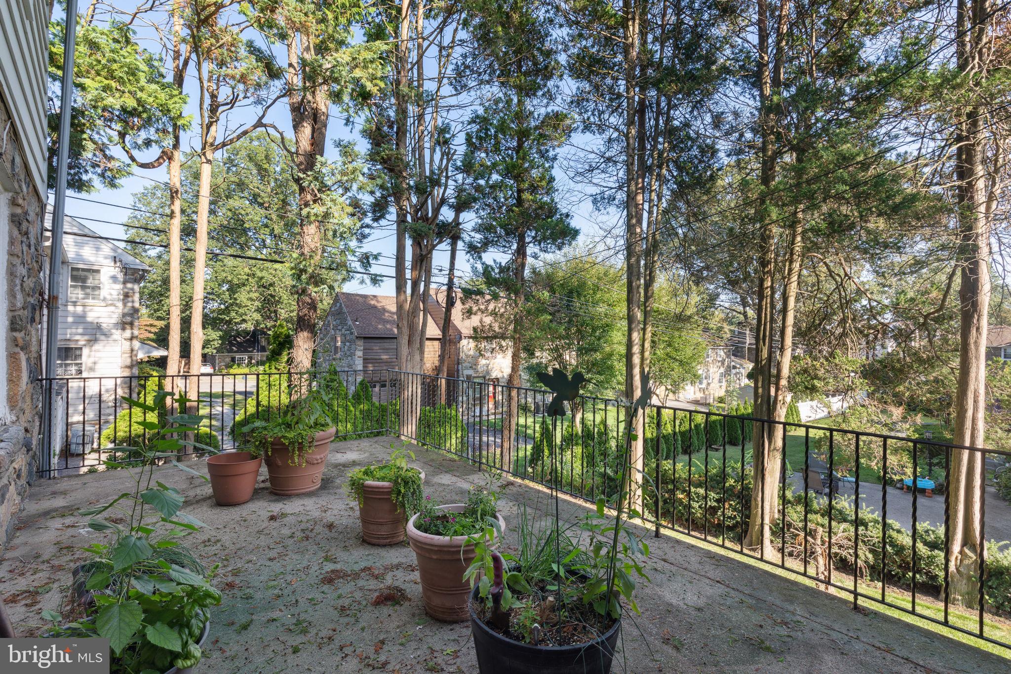 1115 Ormond Ave