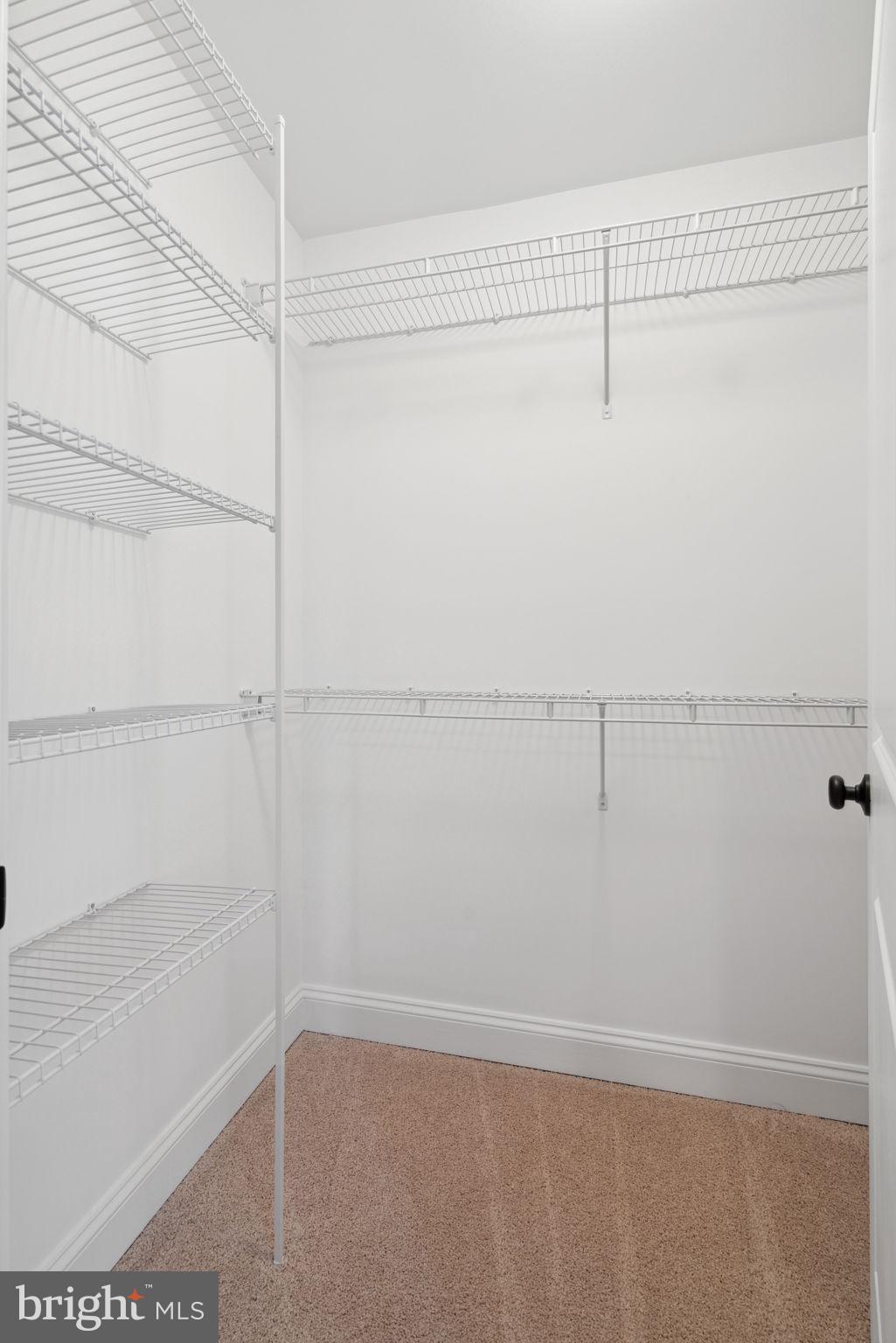 312 Brimfield Cir