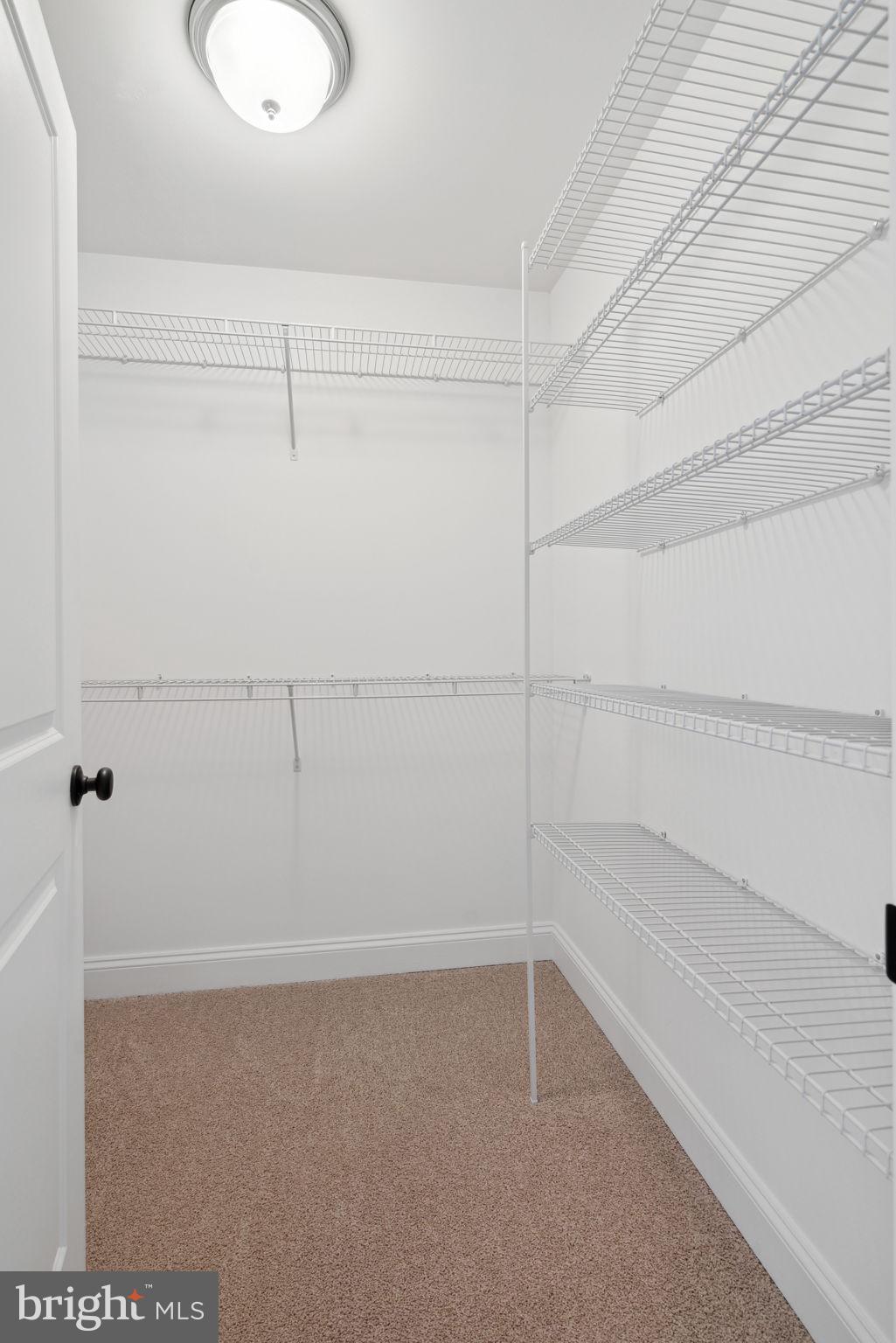 312 Brimfield Cir