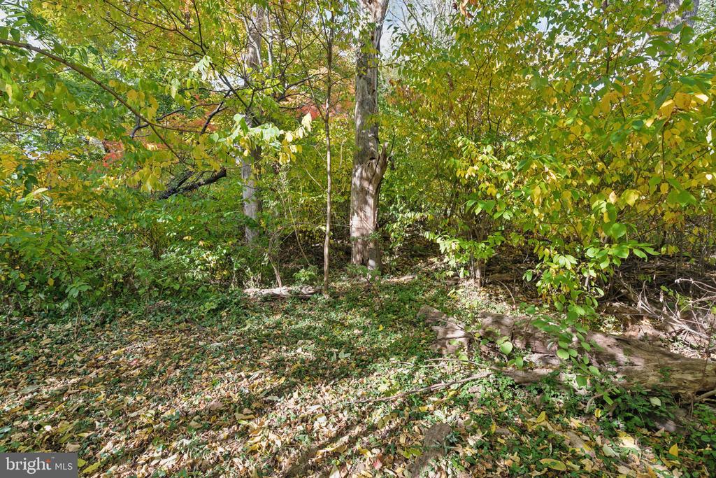725 Fetters Mill Rd