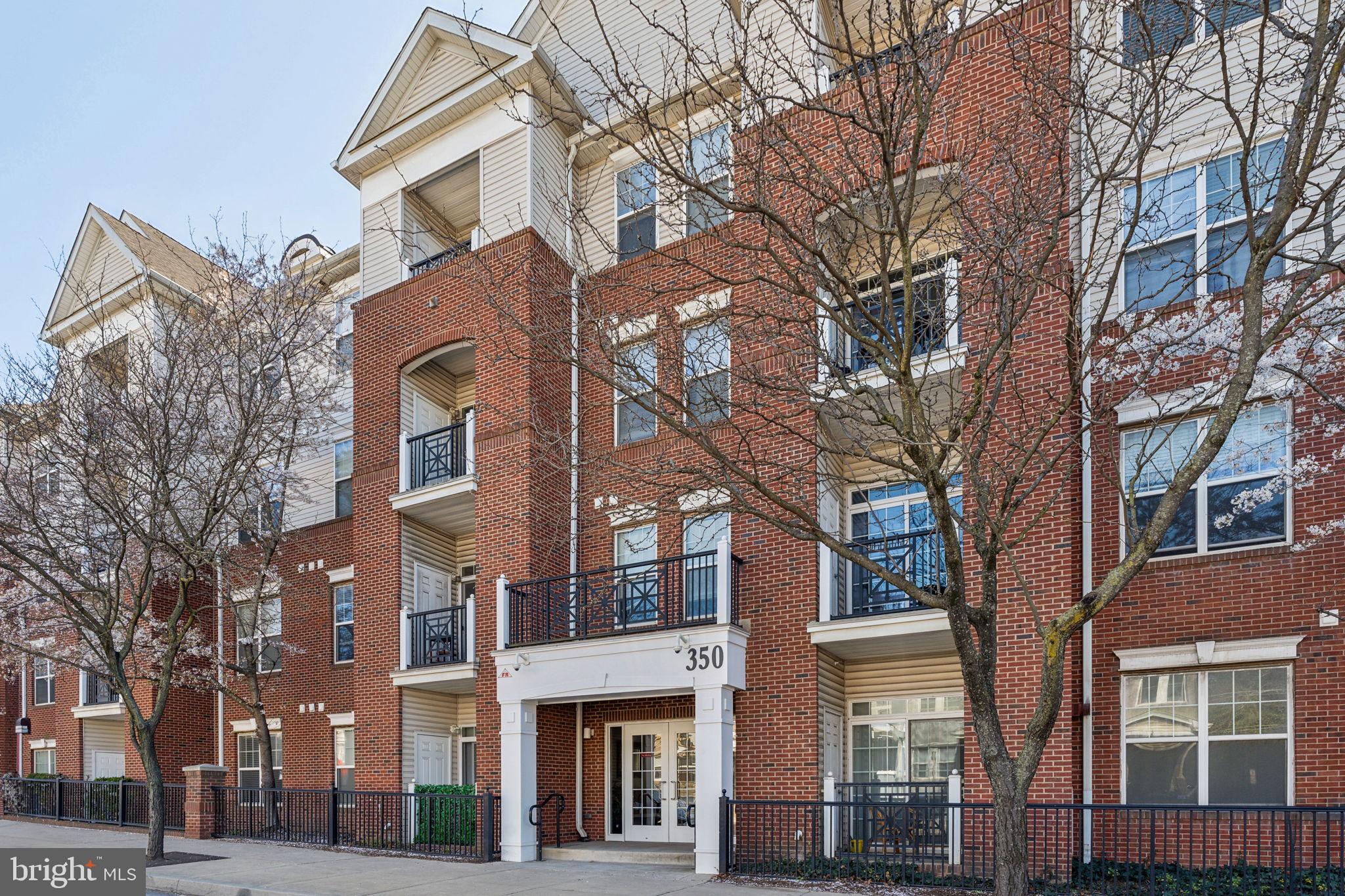 350 W Elm St #3006