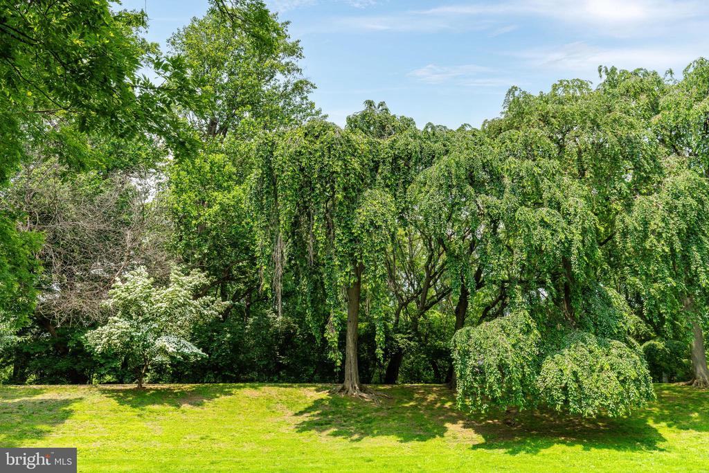 383 MAPLEWOOD RD