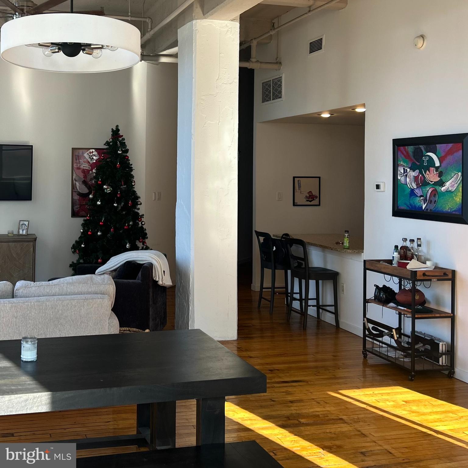1238 CALLOWHILL ST #308