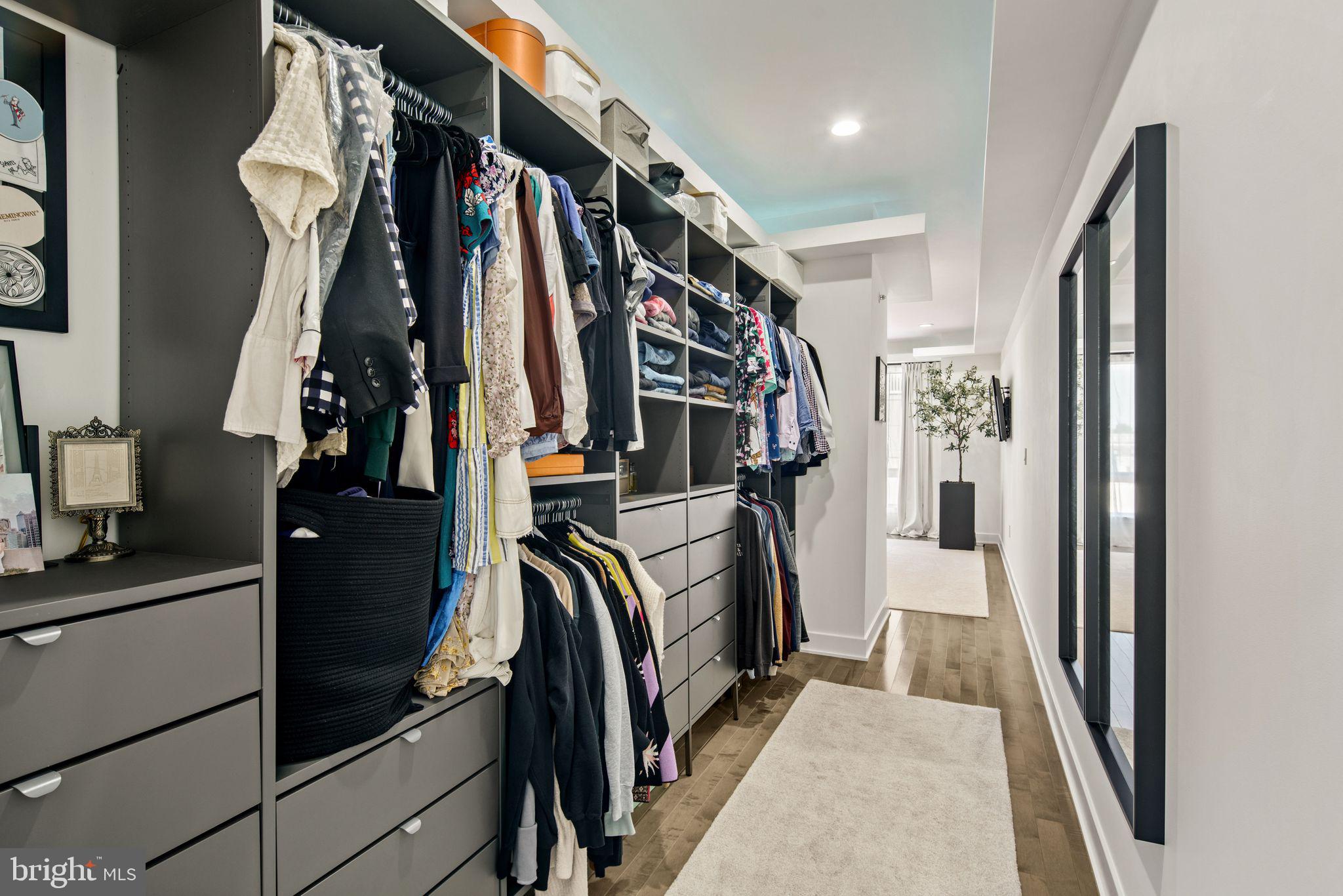 2557 TULIP STREET
