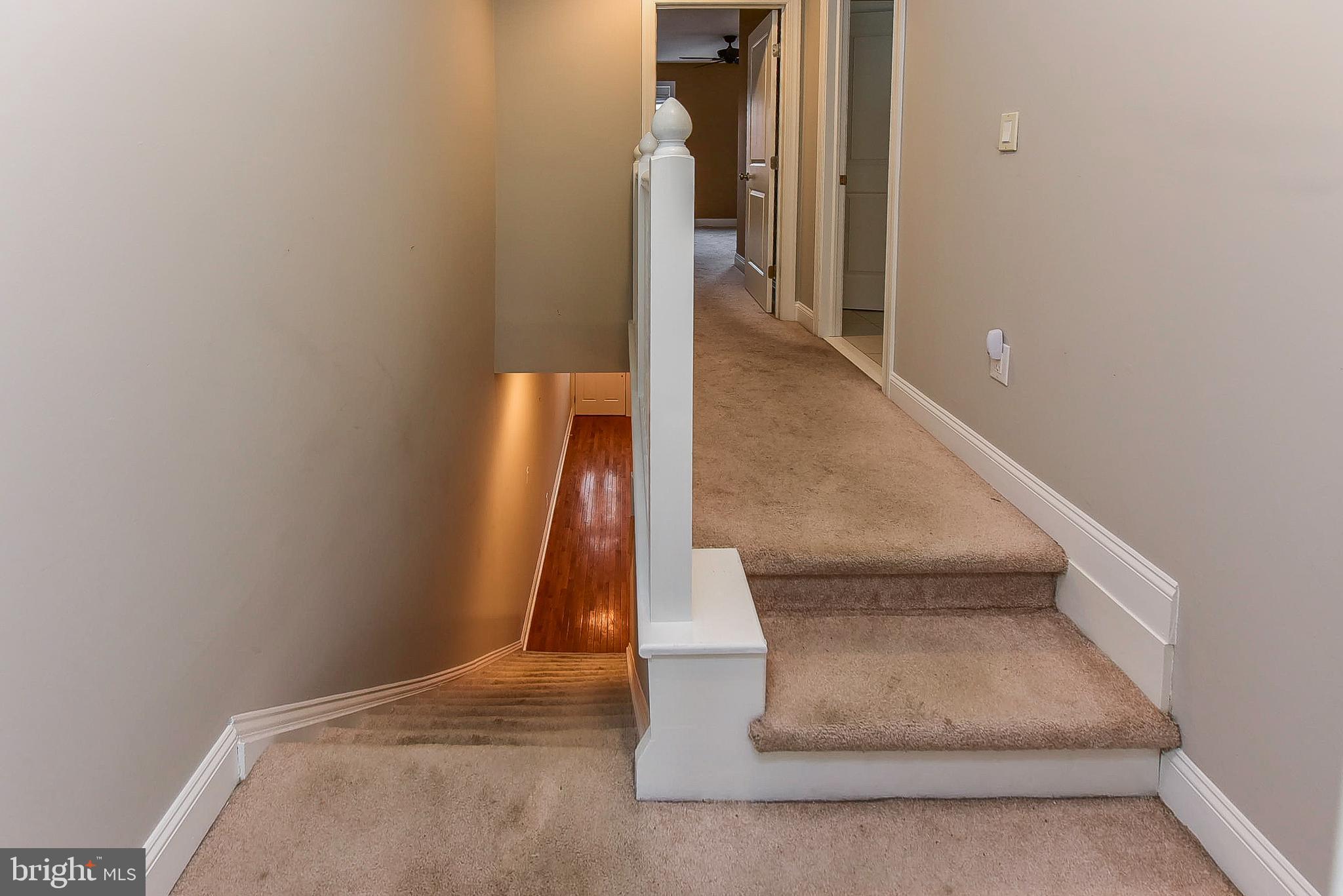 2012 CARPENTER STREET