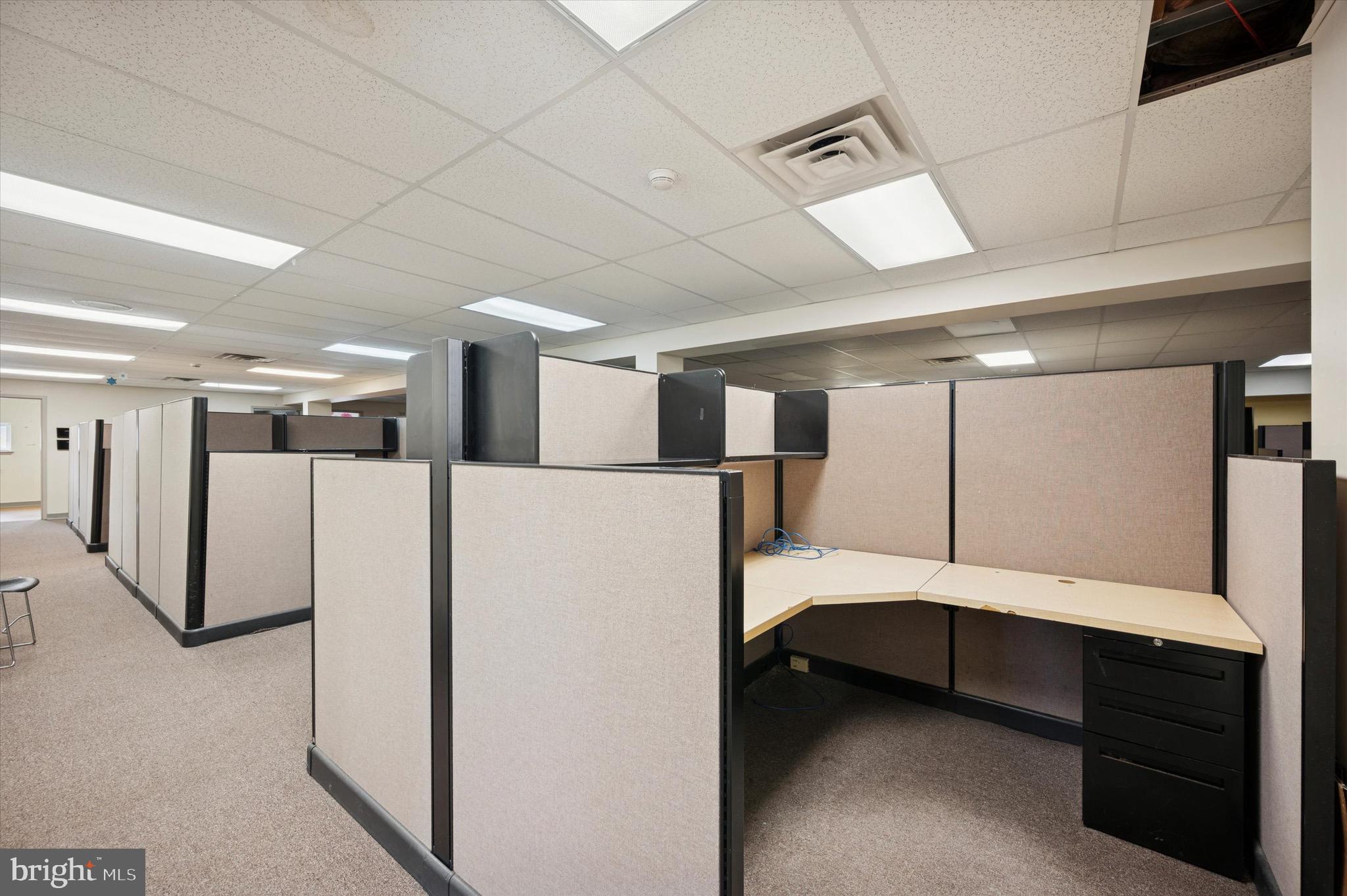 53 E ARMAT STREET 69 B