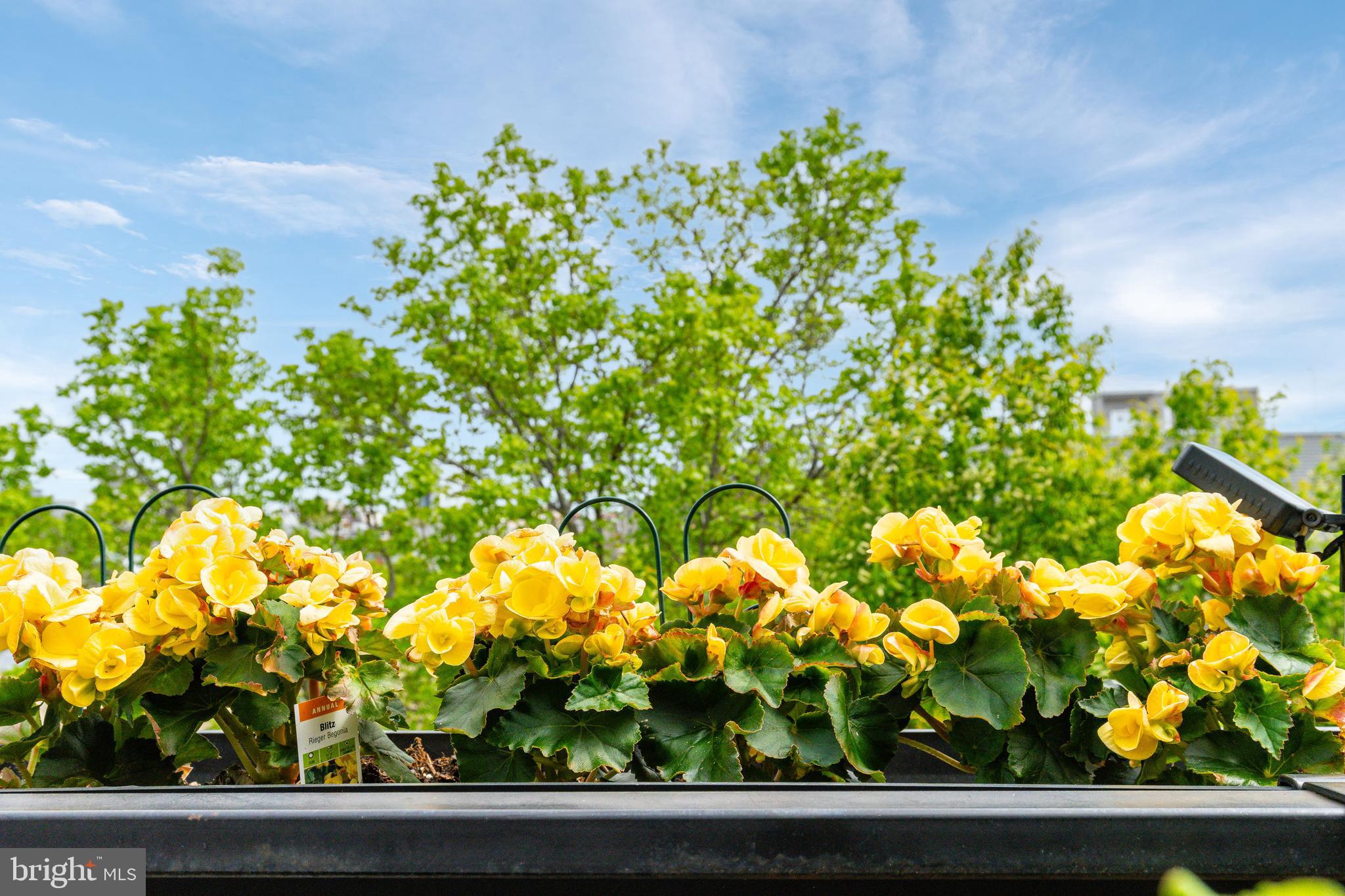 839 PERKIOMEN STREET