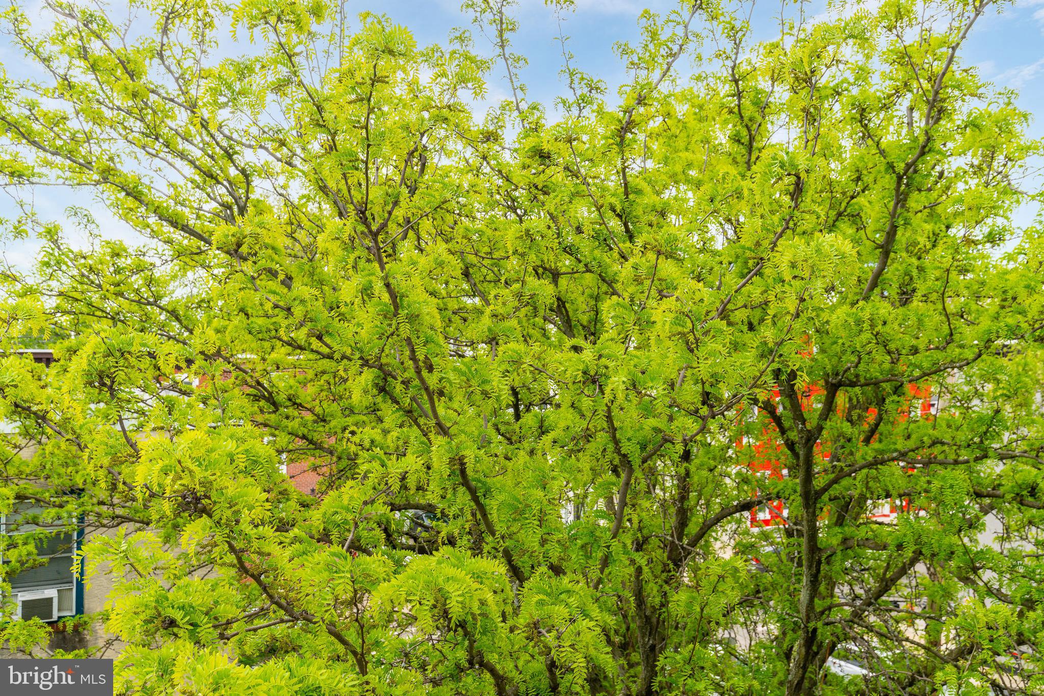 839 PERKIOMEN STREET