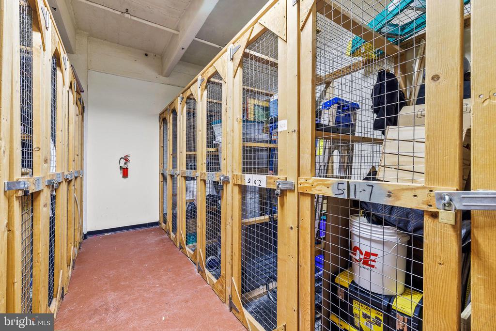 315 NEW STREET Unit: 517