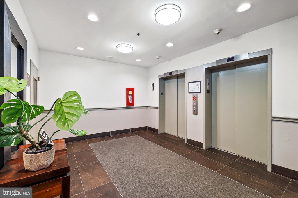315 NEW STREET Unit: 517