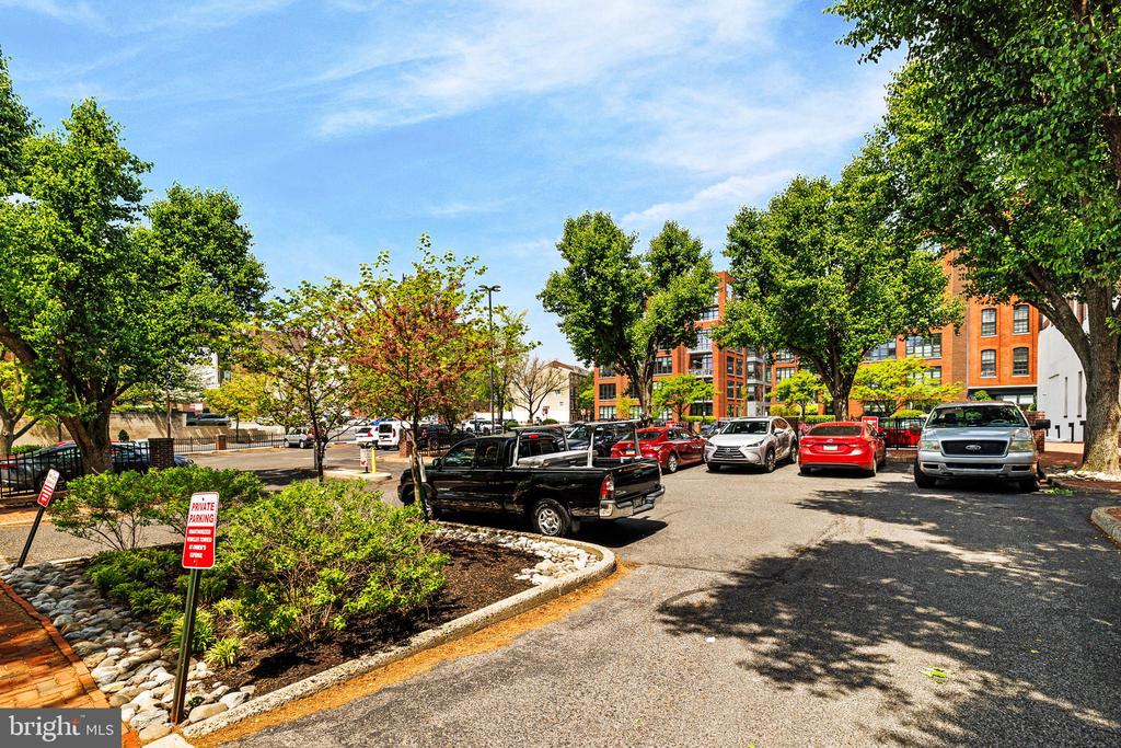 315 NEW STREET Unit: 517