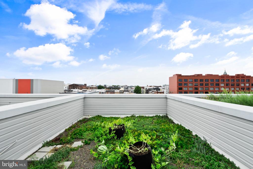 1600 N BODINE STREET
