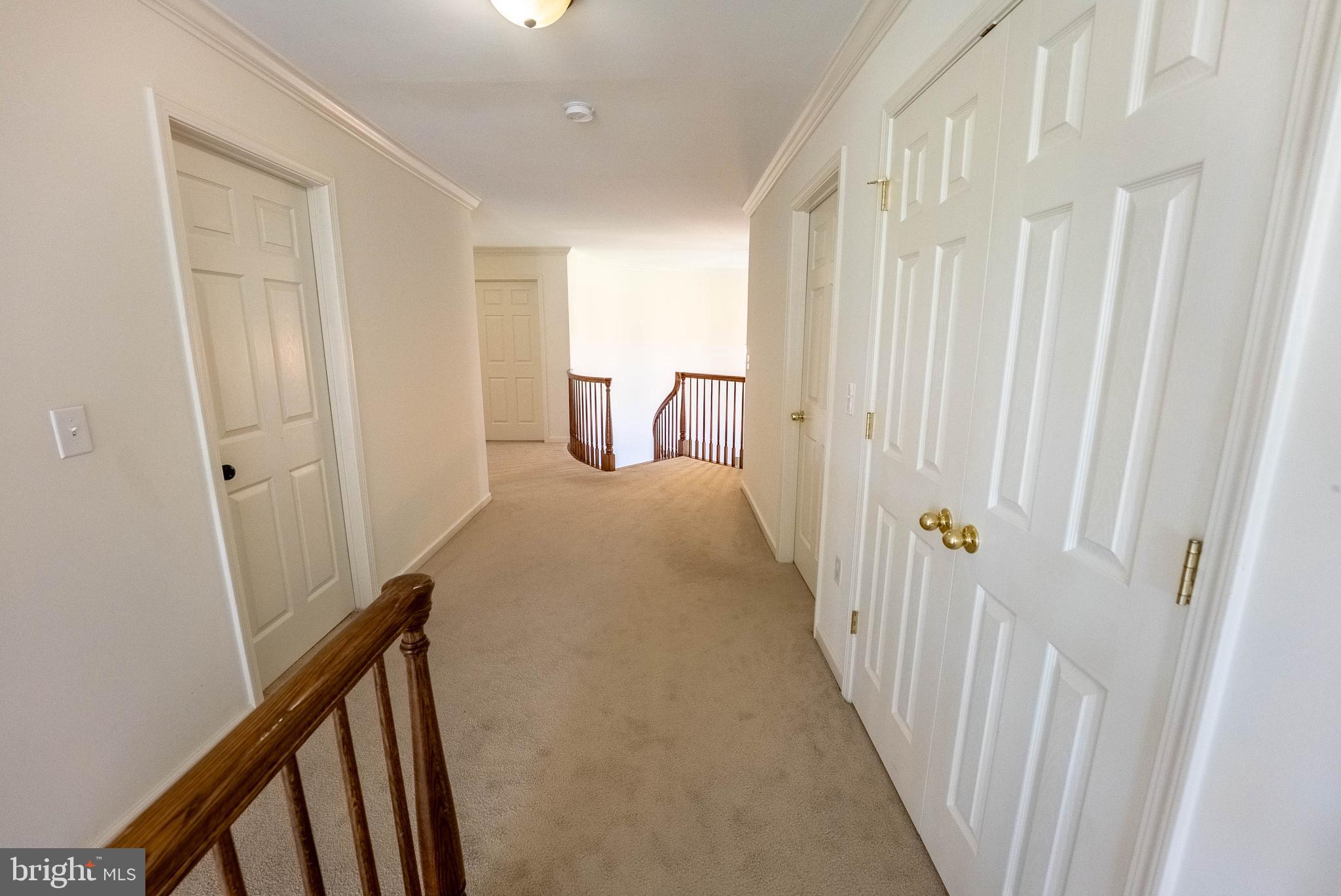 516 RACHEL DR